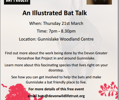 Illustrated Talk on Bats in Our Valley